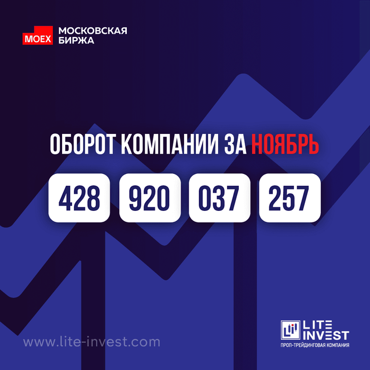 Оборот компании Lite Invest в ноябре 2024 г. составил 428 млрд. руб.